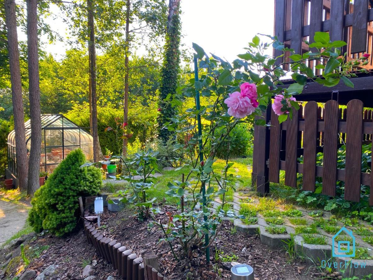 Holibobos Year Round Cottage In Kamien By The Lake Only 30 Minutes From Gdansk And Gdynia Ngoại thất bức ảnh